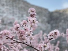 -北京明城墙遗址公园