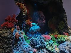 -中国湿地博物馆