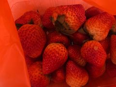 -泓历皇朝酒店(东亭店)