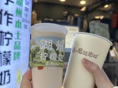 -猫的魔法密林(衣裳街店)