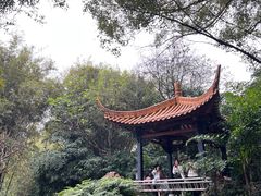 -广州兰圃