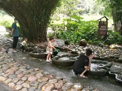 -成都市活水公园