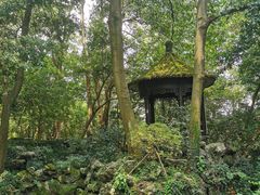 -龙井壹号·茶缘山景宴(龙井村店)