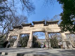 -灵谷景区