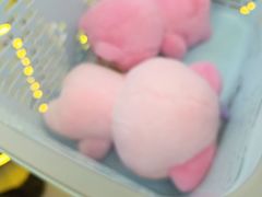 -布吉佳兆业广场