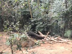 -广州长隆野生动物世界