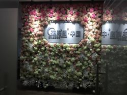 点击看大图 -六月嫁期婚礼(旗舰店)