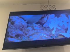 -西域胡氏大盘鸡(新华胡杨风店)
