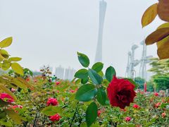 -海心沙亚运公园