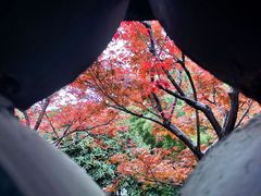 -何园
