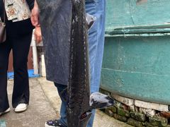 -建社鱼庄(管坪店)