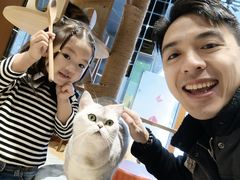 -米乐乖乖猫咪咖啡馆·猫咖(深圳湾后海汇店)