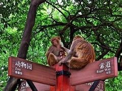 -黔灵山公园
