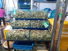 水产区-众彩物流水产市场