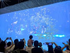 -华夏文旅海洋公园