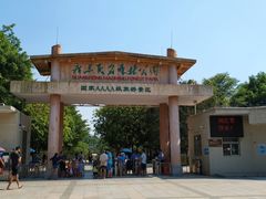 景点-广东茂名森林公园