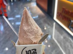 山楂-野人先生现做冰淇淋(西安赛格店)