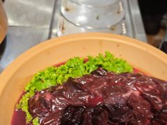 -龍歌自助小火锅(崂山丽达店)