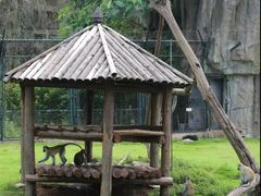 -西安秦岭野生动物园