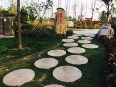 -武清南湖绿博园