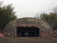 -中国西峡恐龙遗迹园