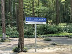 -瑶琳仙境