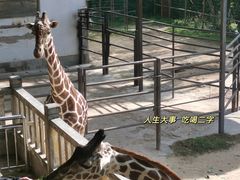 -福州动物园
