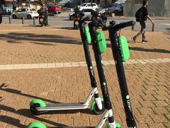 -Hayam Hasini Chinese Restaurant 东海中餐厅 הים הסיני