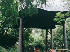 -成都市活水公园