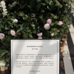 点击看大图 -祖·玛珑