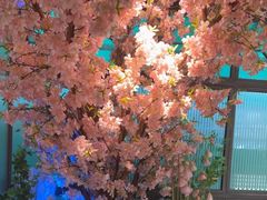-野妹火锅(龙岗店)
