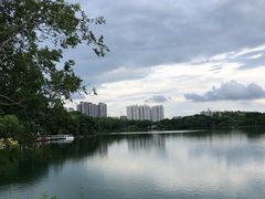-广东花都湖国家湿地公园