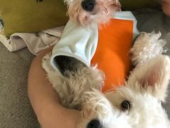 -力美健·游泳·健身(亚运城店)