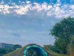 -福田红树林生态公园