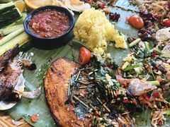 -金塔傣乡·云南民族特色菜·傣味手抓饭(金瓦路店)