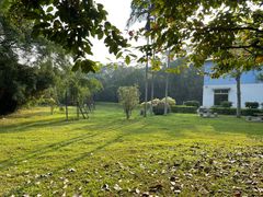 -南宁良凤江国家森林公园