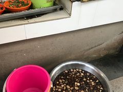 -阿麟馄饨(延长路店)