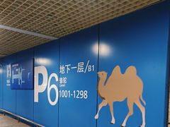 -虹桥综合交通枢纽-P6停车库