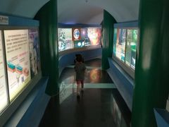 -上海昆虫博物馆