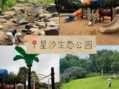 -洋湖国家湿地公园