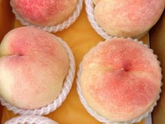 -老袁家蜜桃农场·阳山水蜜桃