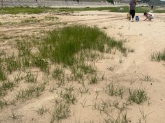 -观澜小洱海