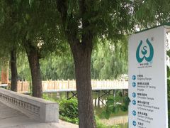 -白洋淀景区