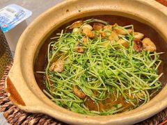 -廖川菜(金虹桥店)
