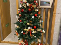 -青皮树酒店(合肥瑶海区新安江路龙岗地铁站店)