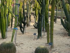 -东莞植物园