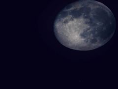 -去茶山