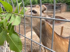 -北京山里寒舍度假酒店