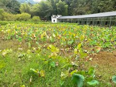 -仙岛湖旅游风景区
