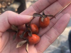 -南京金牛湖风景区